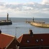 demeter-cottage-harbour