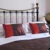 the-arches-guest-house-01
