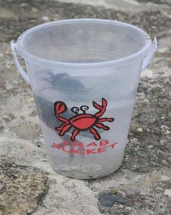 Whitby crab fishing bucket