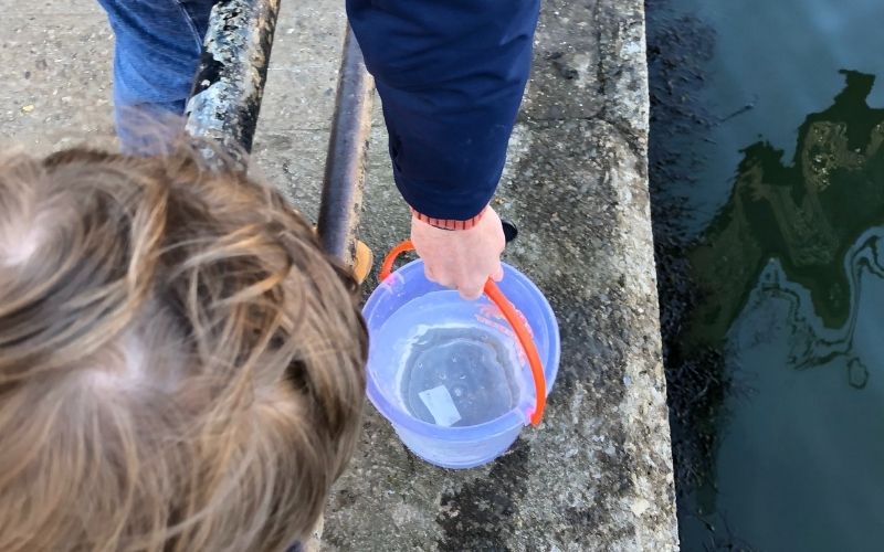 Collecting water for Whitby crabs
