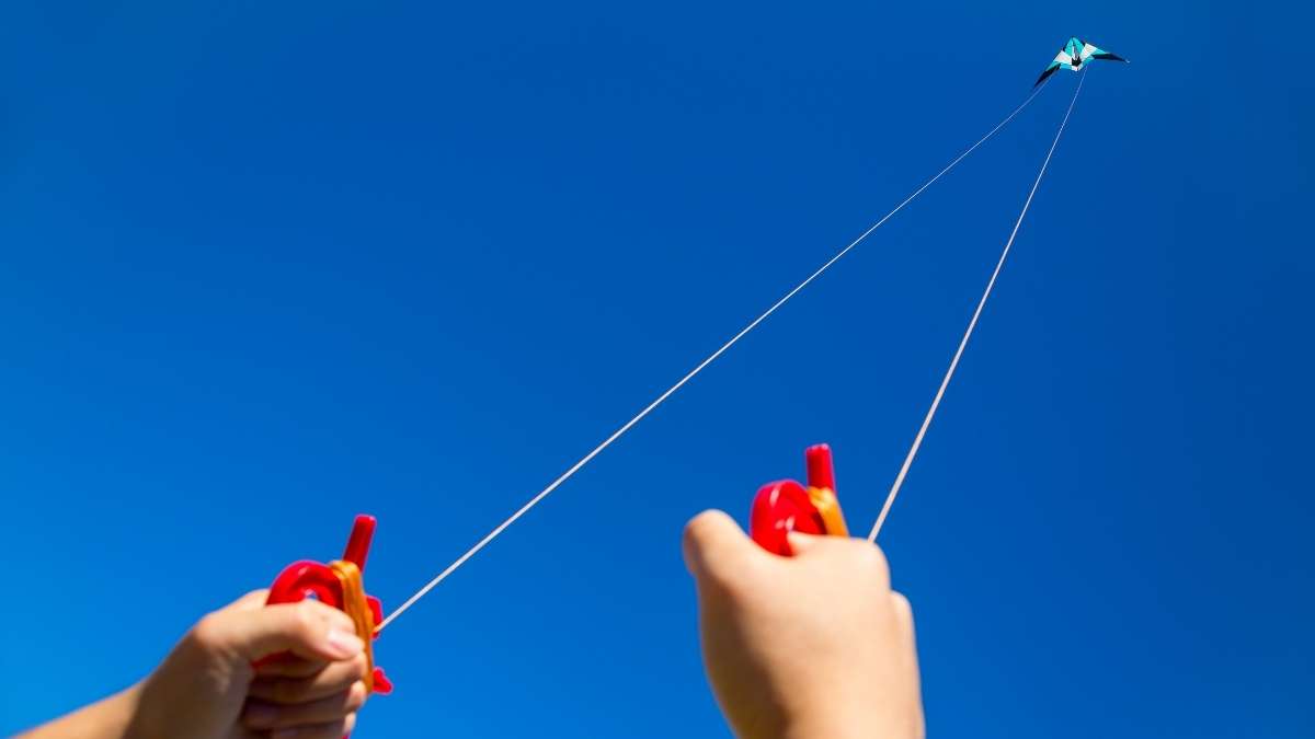 Fly a kite