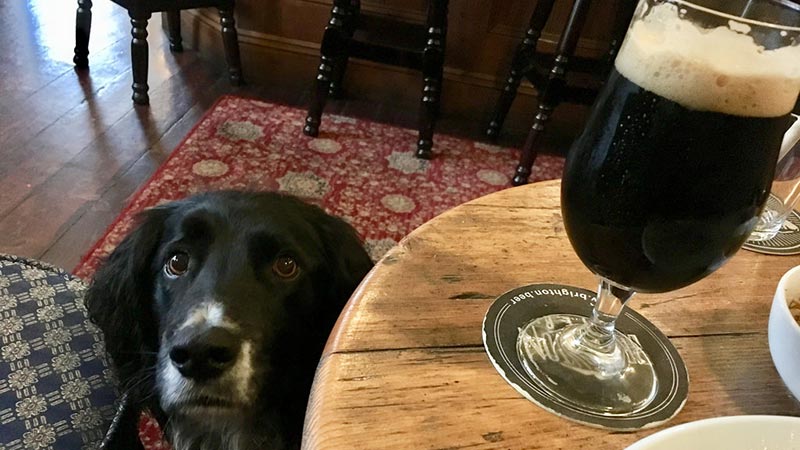 Dog Friendly Pubs in Whitby