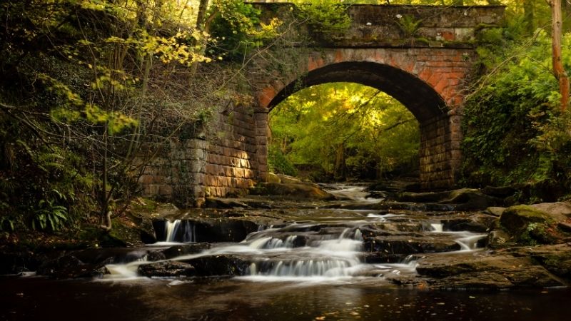 Beck Hole near Whitby is great for dog walks