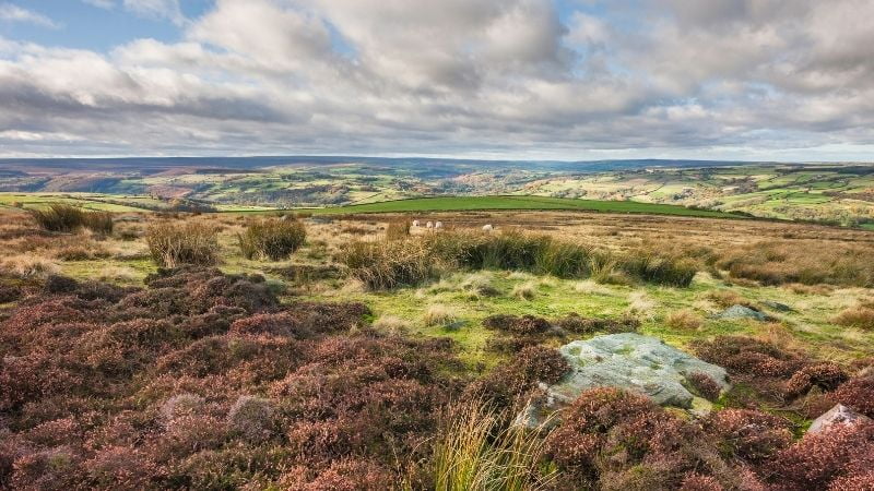 Grosmont is a beautiful place to walk your dog around Whitby