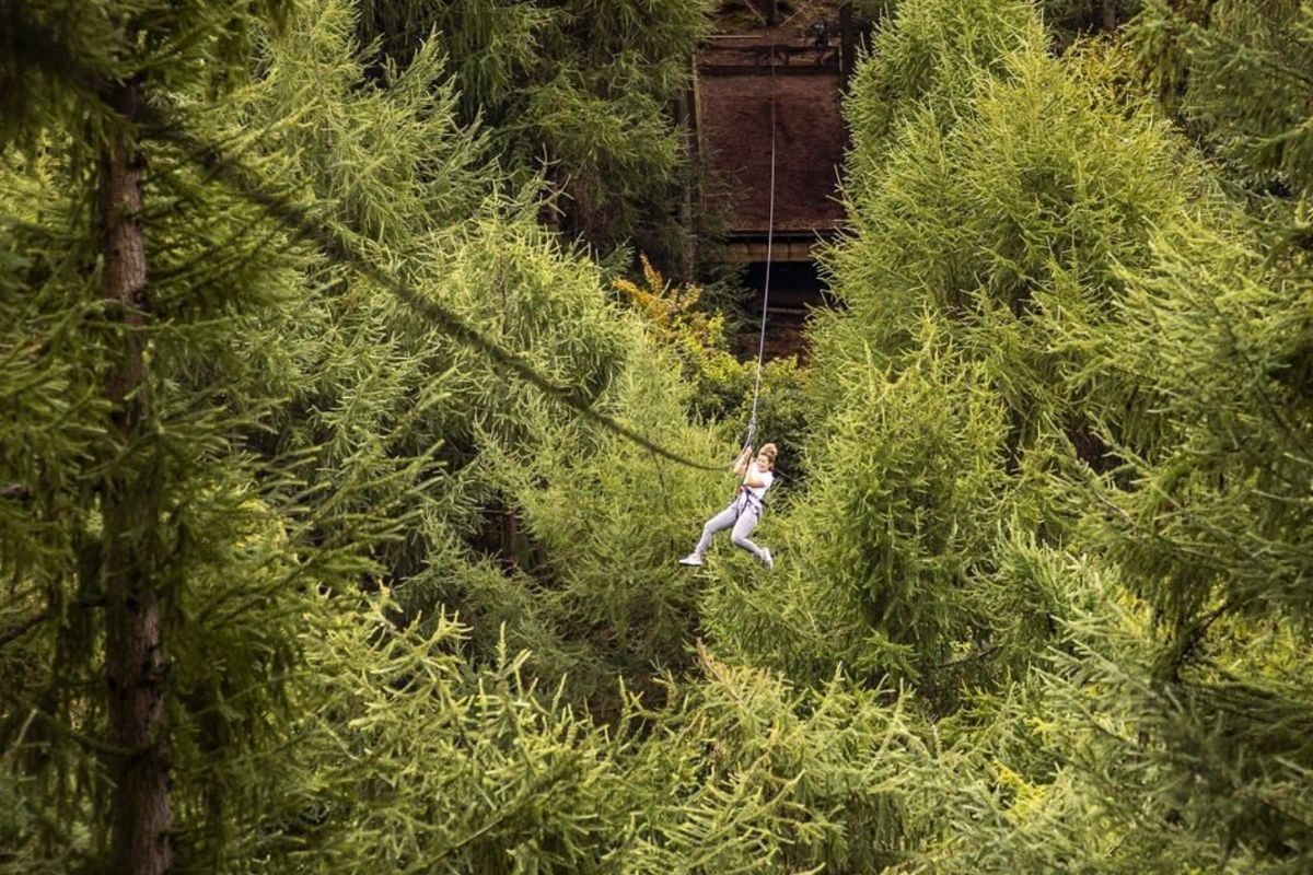 Go Ape Dalby Forest