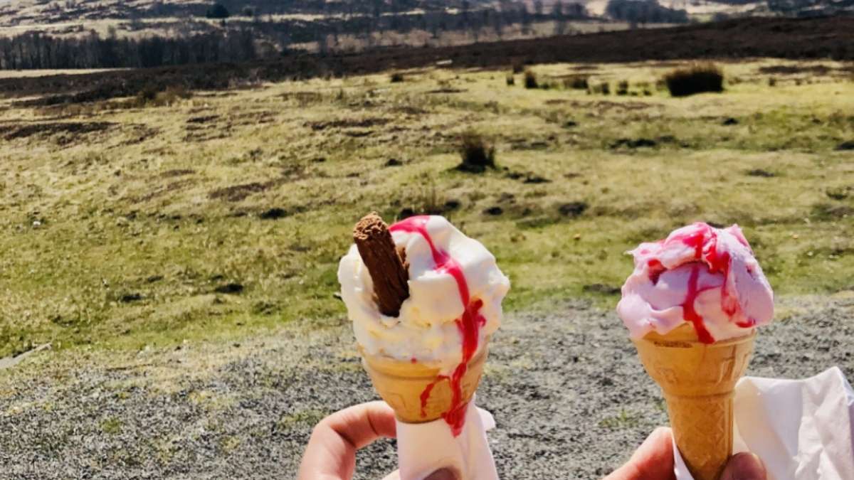 North York Moors Ice Cream