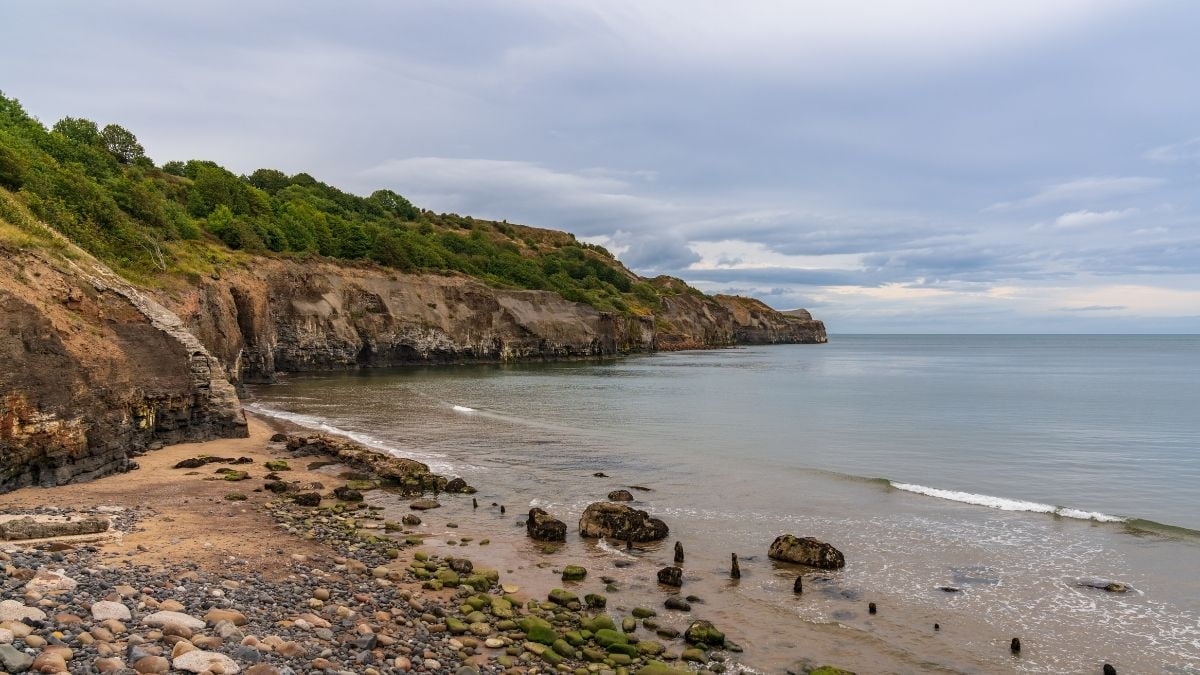 The Sandsend Trail