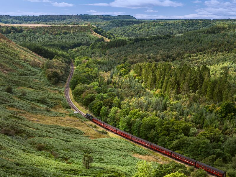 The North Yorkshire Moors Railway.