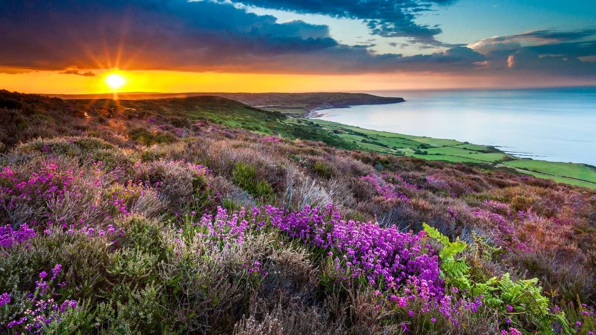 Robin Hood's Bay Walks Near Ravenscar