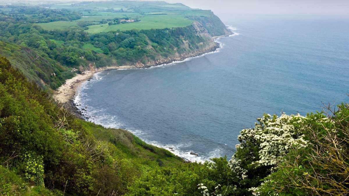 Robin Hoods Bay to Maw Wyke