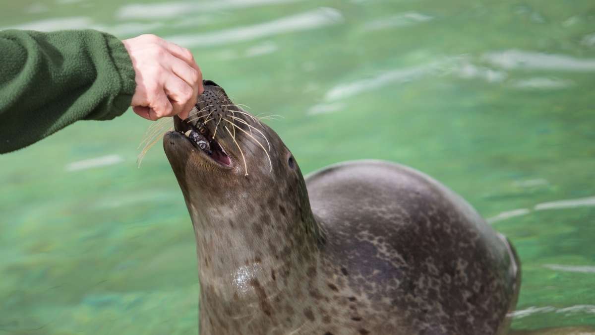 Sea Life Centre