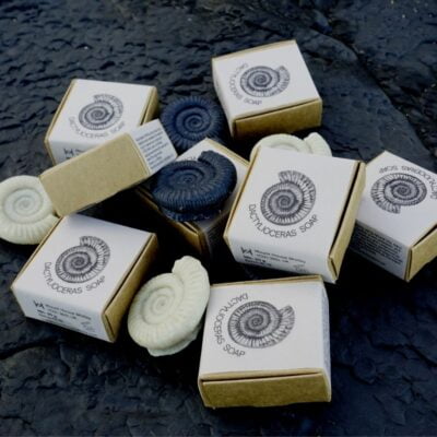 Individual Whitby Dactylioceras Soaps