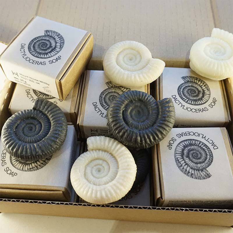 Twelve Whitby Dactylioceras Soaps In Boxes