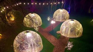 Igloos in Goathland