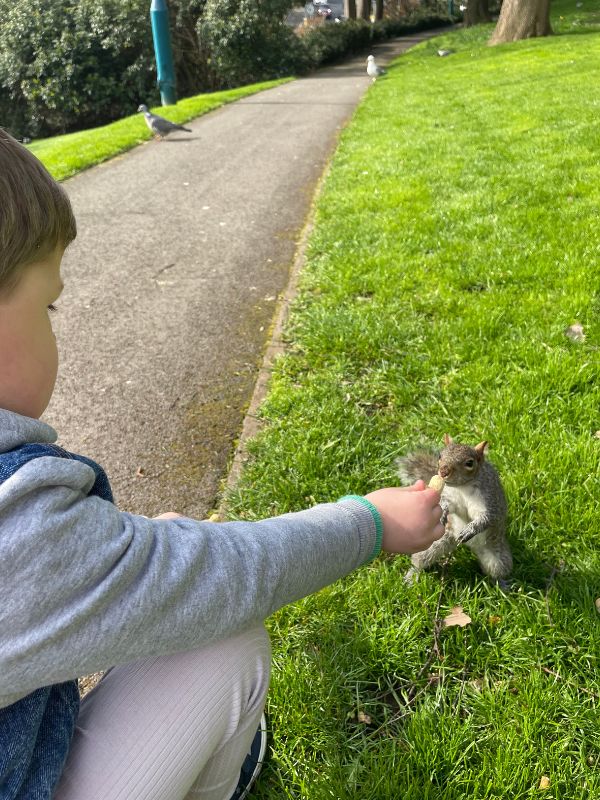 Pannett Park boy feeding squirrels. Pannett Park boy feeding squirrels.