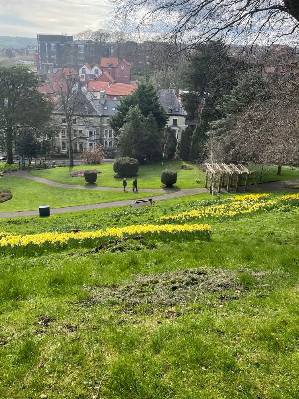 Pannett Park. Pannett Park.