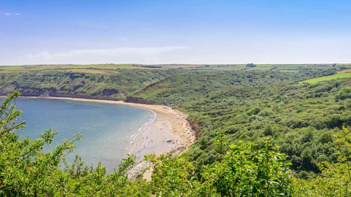 Camping In Whitby