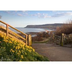 Robin Hoods Bay, Spring Sunshine Canvas