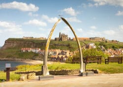 Whitby On A Sunny Spring Day Canvas