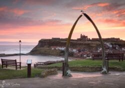 Whitby Whalebones Canvas