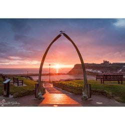 Whitby Whalebones At Sunrise Canvas