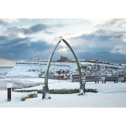 Whitby Whalebones In The Snow Canvas