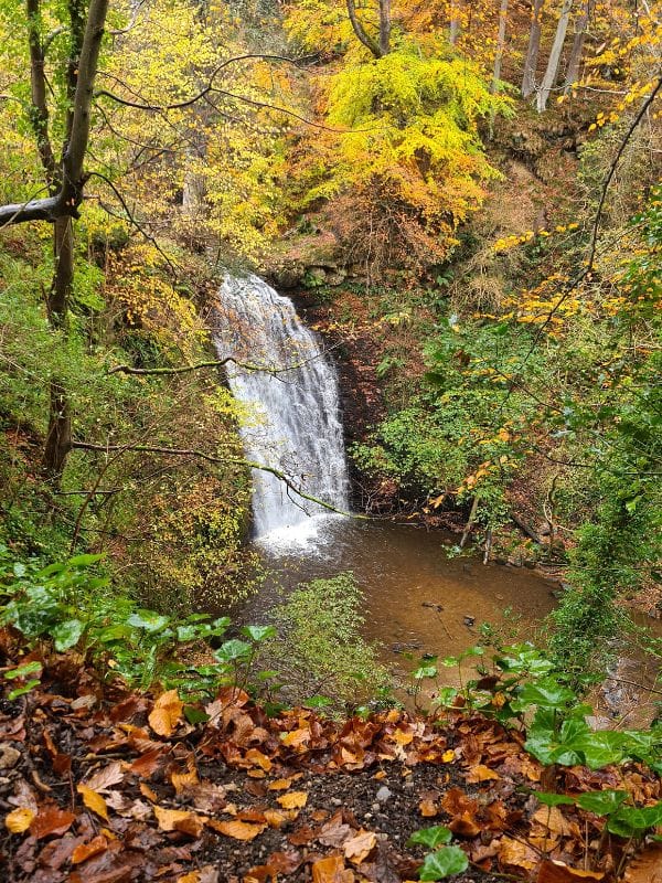 Falling Foss Falling Foss