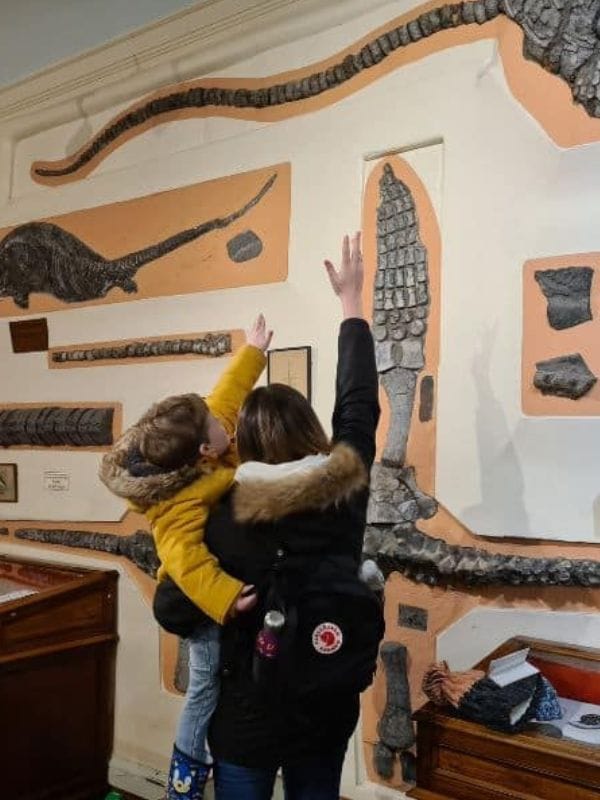 Whitby Museum Whitby Museum