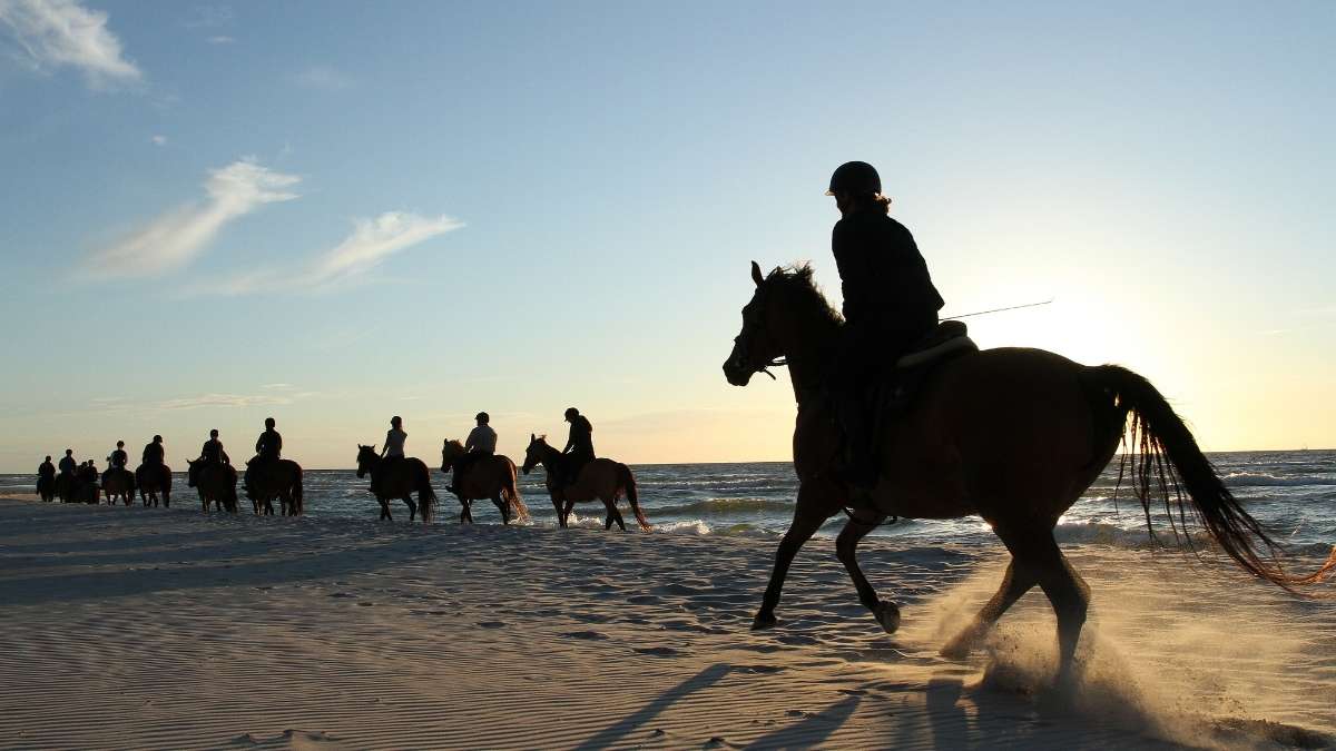 Beach Horse Riding