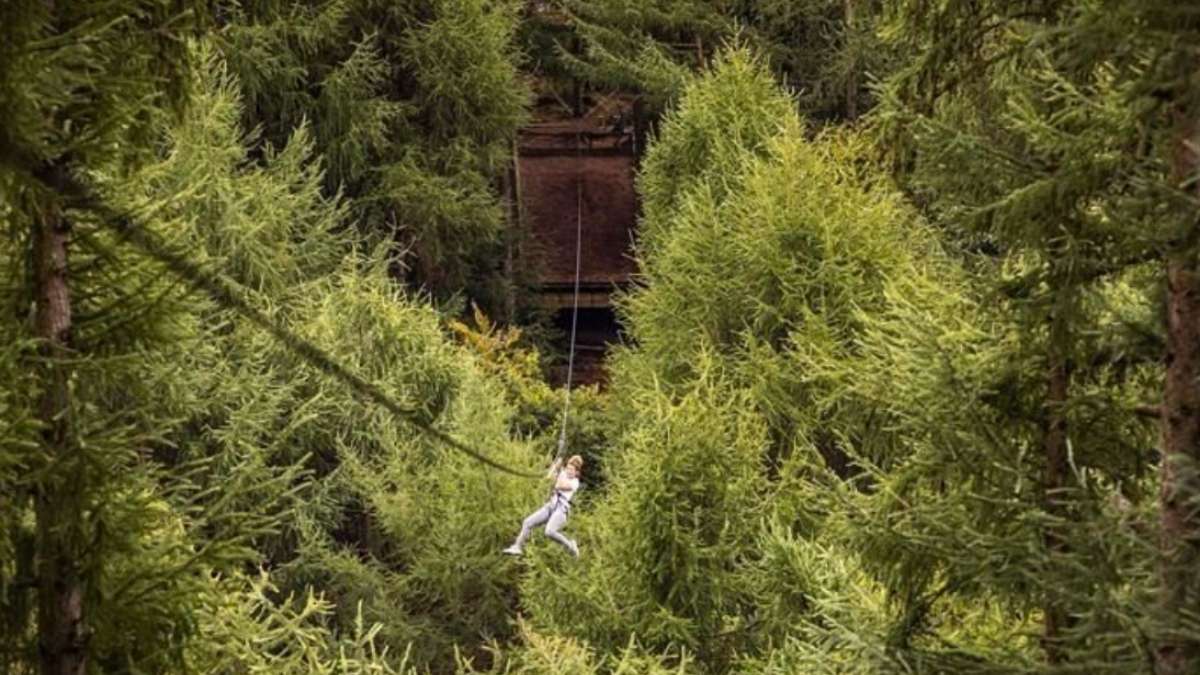 Go Ape Dalby Forest