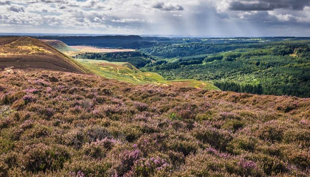 Hole of Horcum, North York Moors Walks