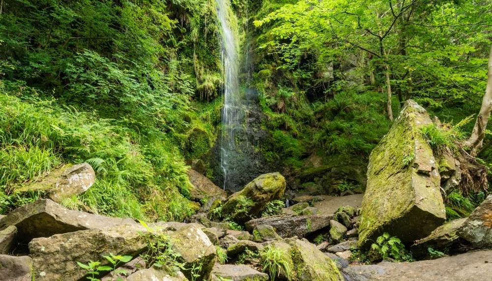Mallyan Spout