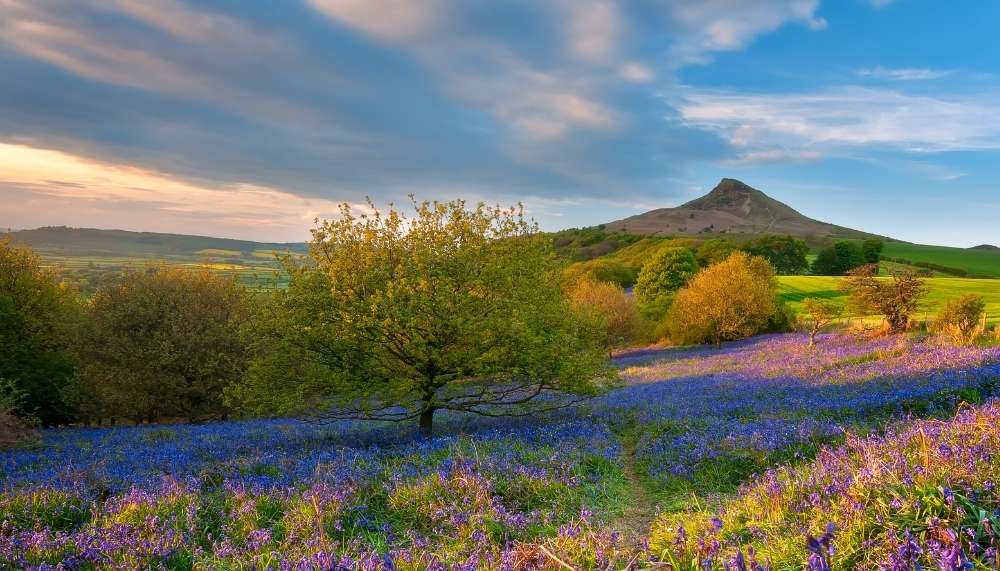 Roseberry Topping in the North York Moors