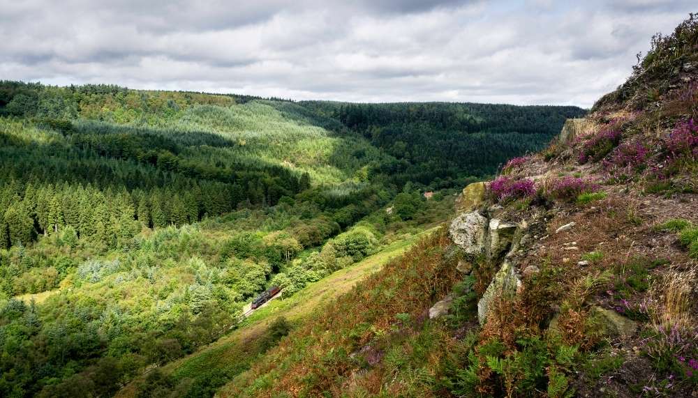 Things to do in North York Moors