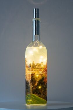 Autumn At Pannett Park Light Up Bottle Lamp