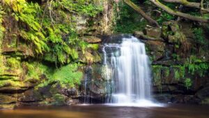 North York Moors Waterfalls