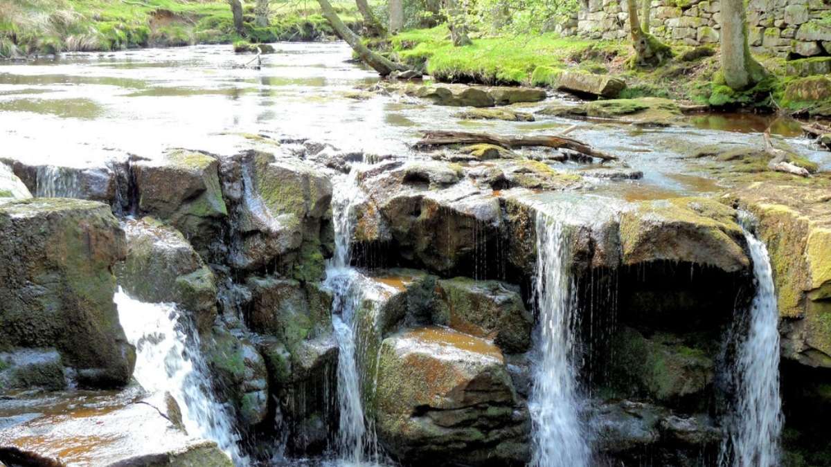 Nelly Ayre Foss Nelly Ayre Foss