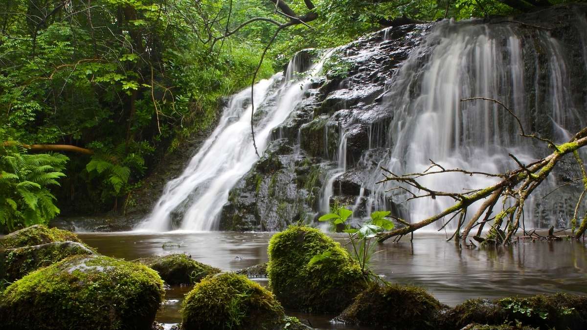 Old Meggison Waterfall Old Meggison Waterfall