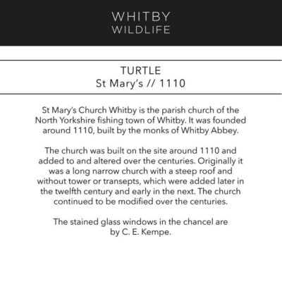 Turtle St Mary's Churchyard AB