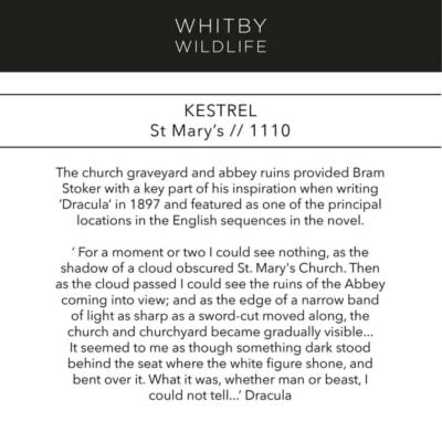 Kestrel St Marys Church
