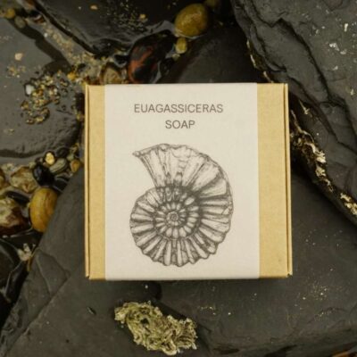 Euagassiceras Soap NEW