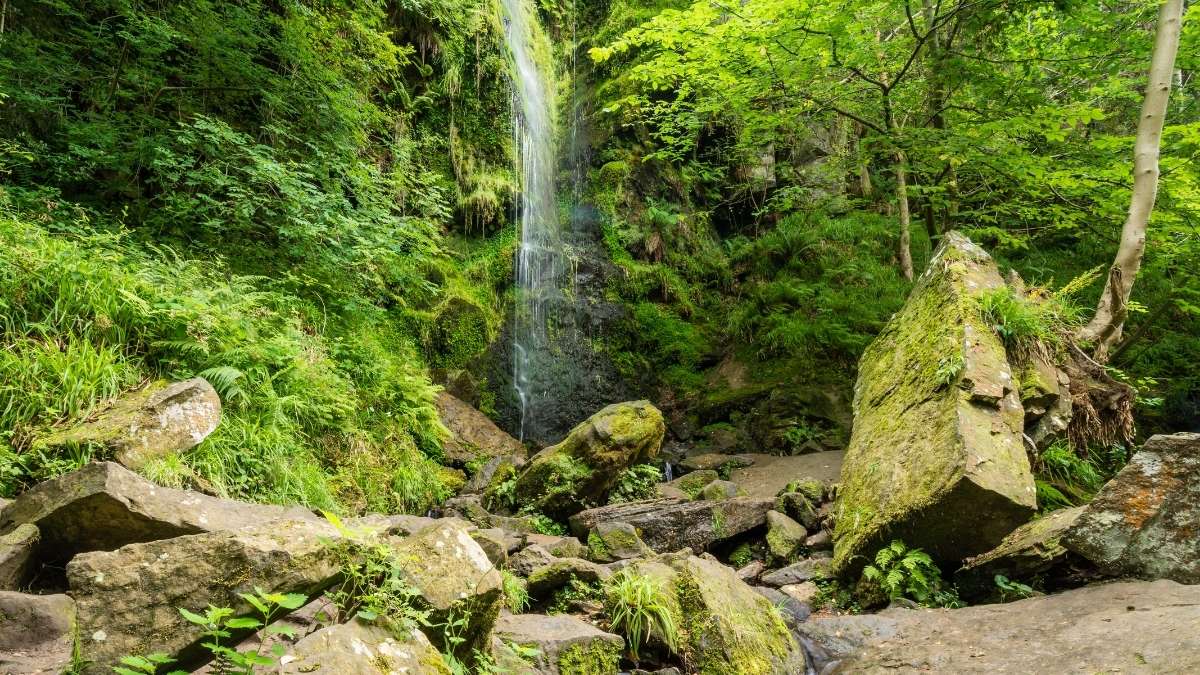 Mallyan Spout