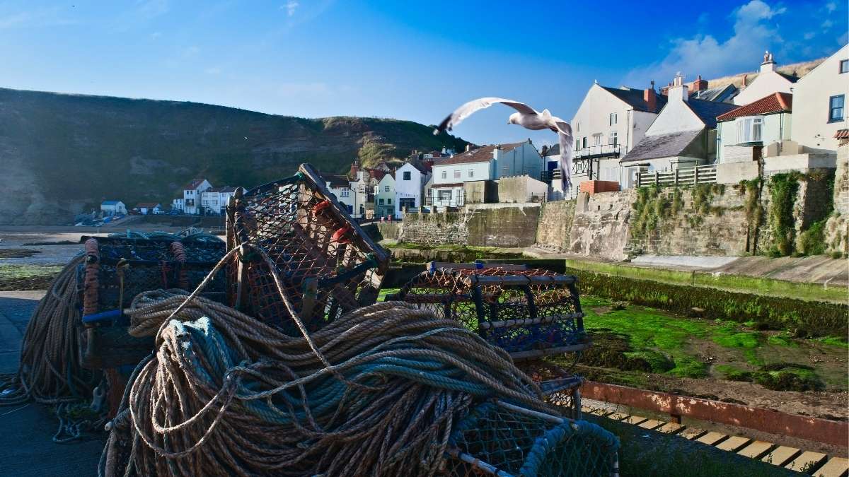 Staithes Lobster Pots