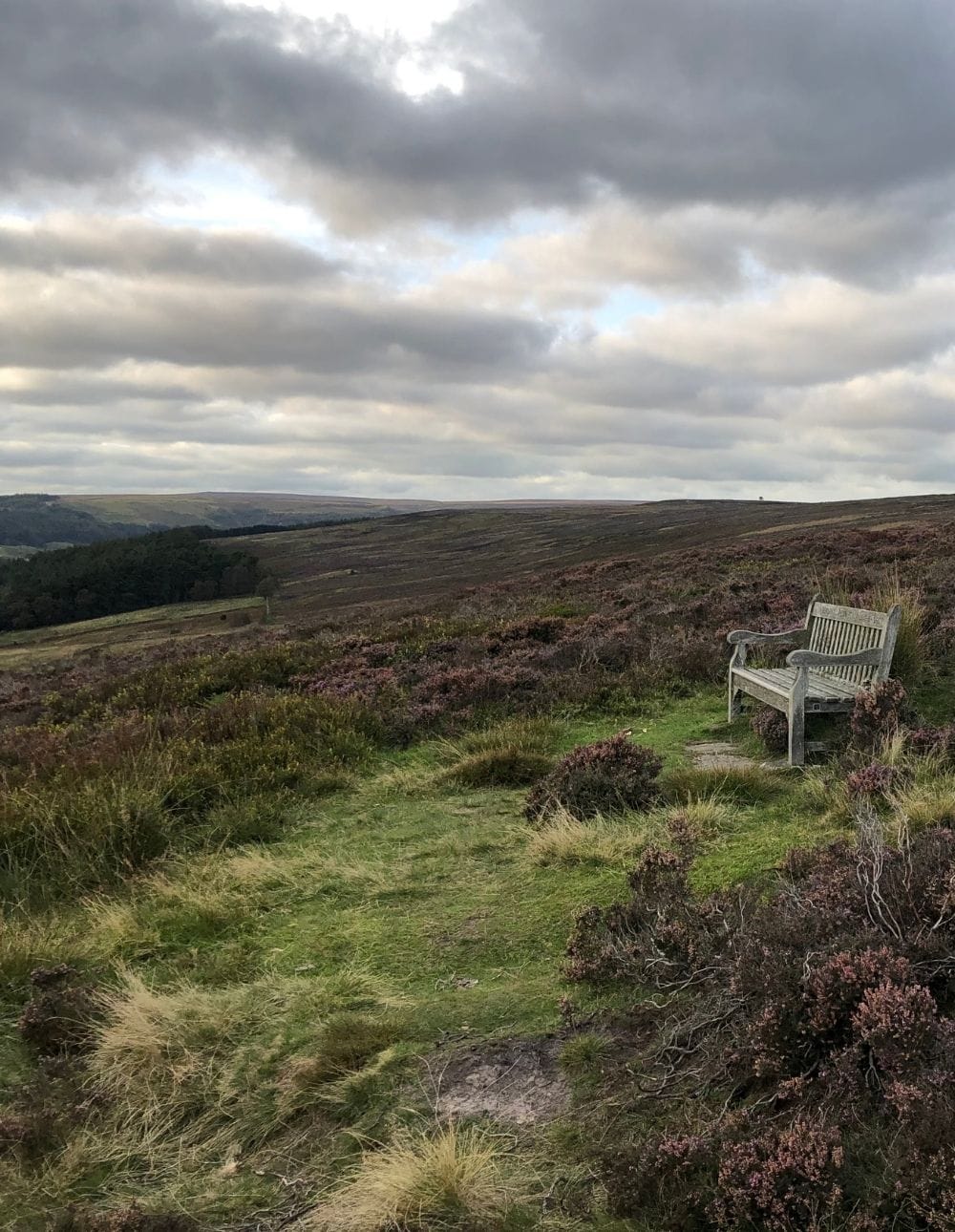 Rosedale Abbey. Rosedale Abbey.
