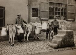 Milk Donkeys by Frank Meadow Sutcliffe