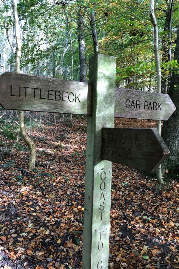 Car Park signpost Car Park Sneaton Forest signpost.