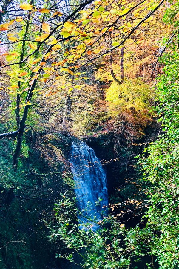 Falling Foss Waterfall amongst the trees. Falling Foss Waterfall amongst the trees.