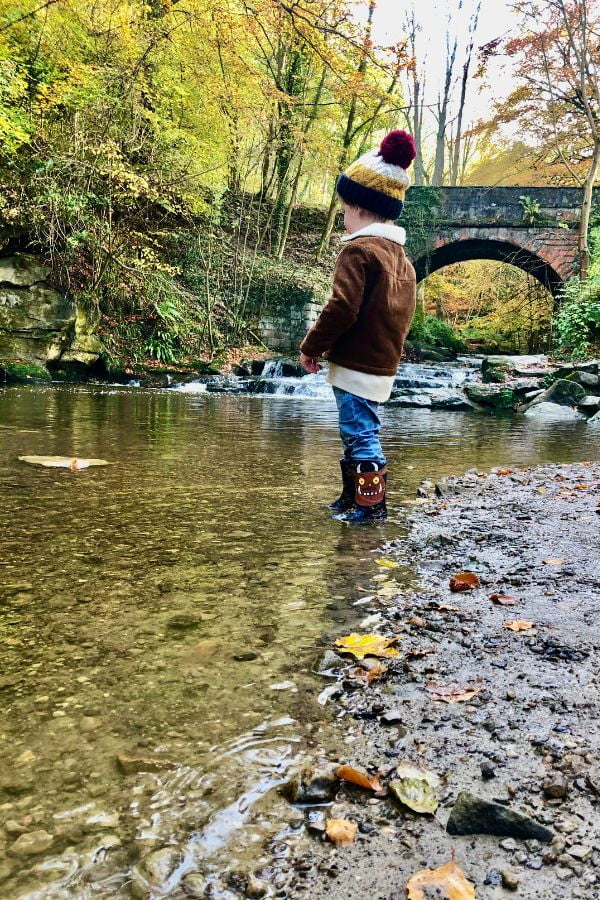 Sneaton Forest child playing in the streams. Sneaton Forest child playing in the streams.