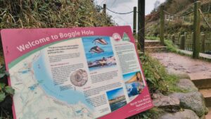 Boggle Hole Header