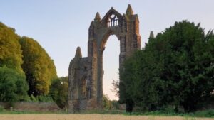 Guisborough Forest